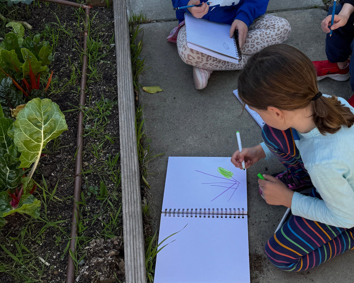 The Sketchbook Club - Winter 2026/27